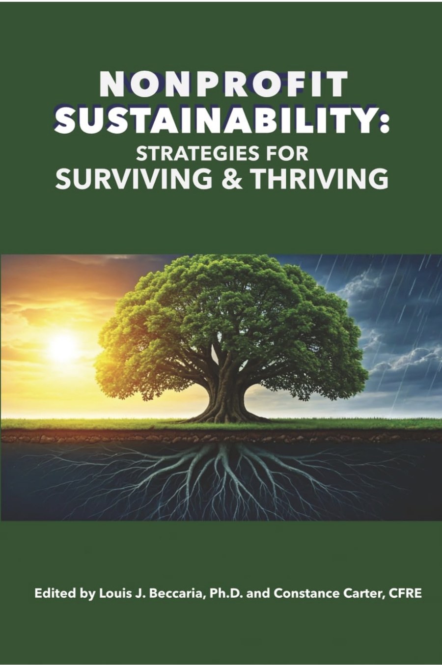 Cover of Nonprofit Sustainability: Strategies for Surviving and Thriving